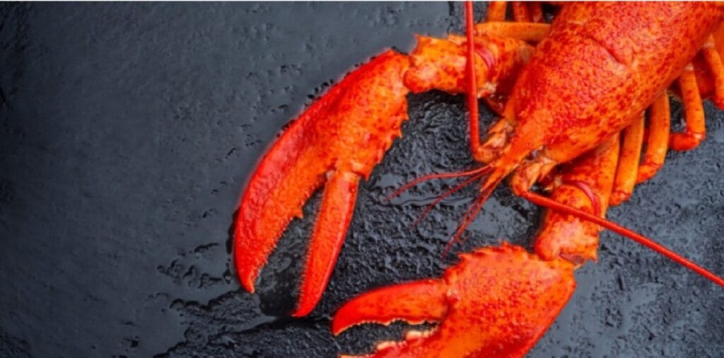 Niet wegkijken, dit is ook jouw feestje